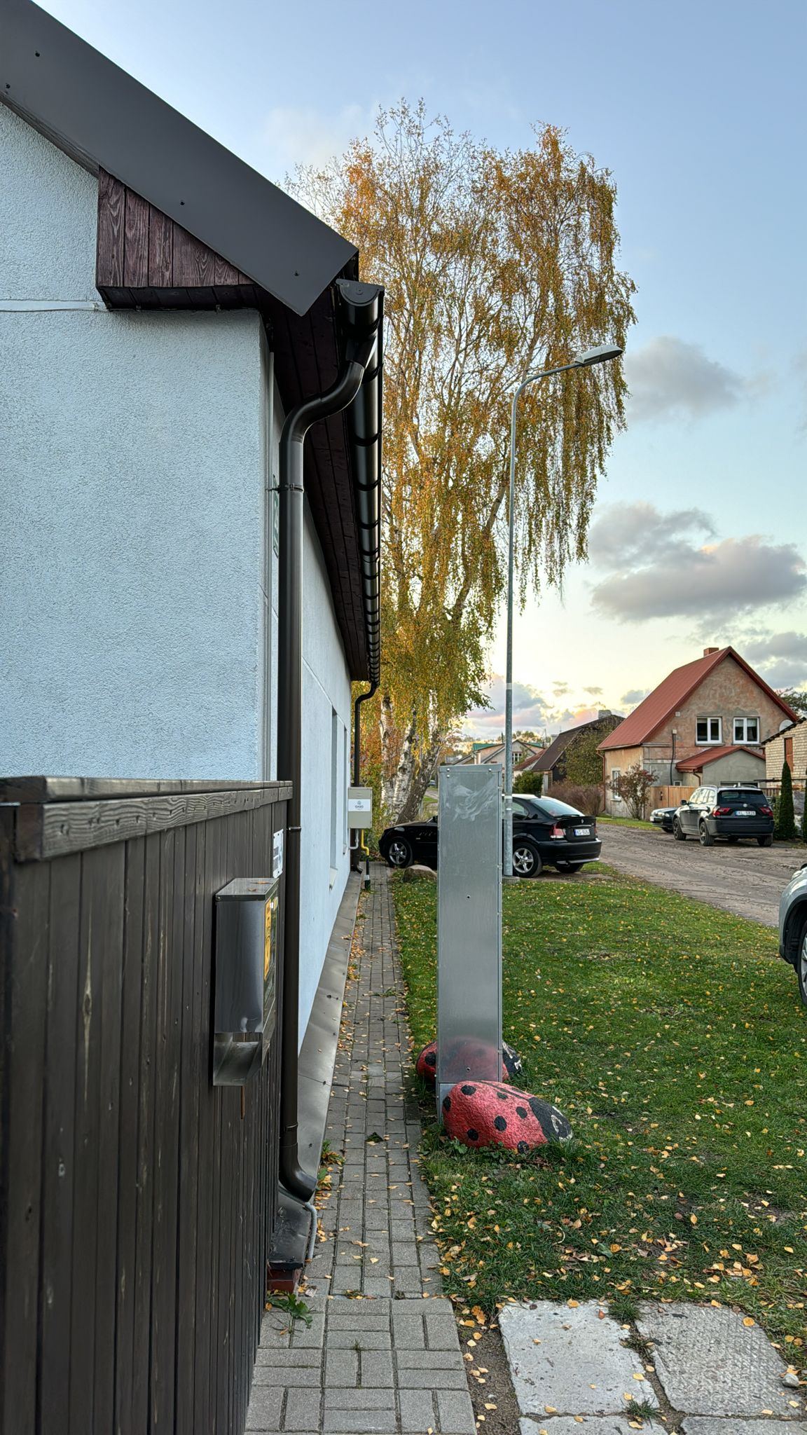 Jaunā koka karkasa siena ar antiseptizētu dēļu apdari